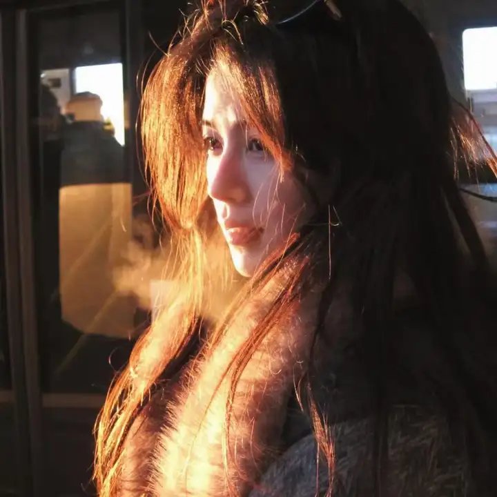 神烦警探第七季